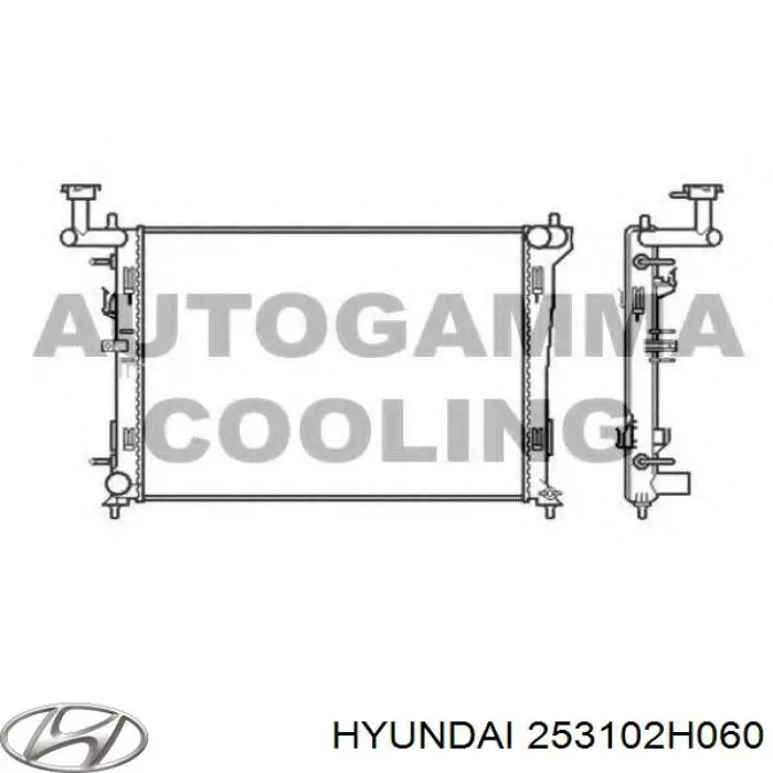 253102H060 Hyundai/Kia radiador