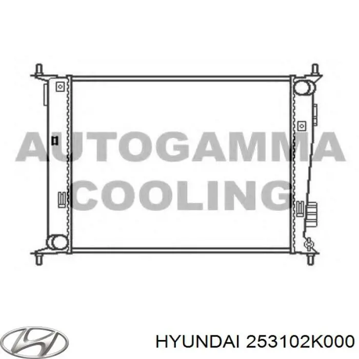 253102K000 Hyundai/Kia radiador refrigeración del motor