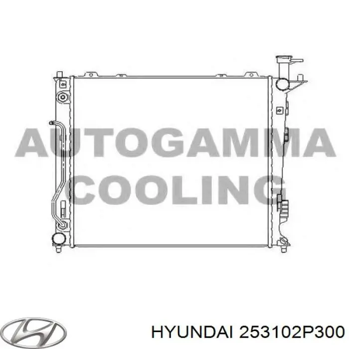 Água radiador Hyundai/Kia 253102P460 precio, desde 137,81 EUR
