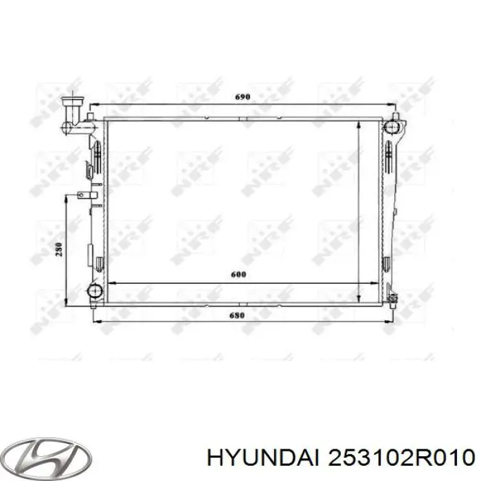 253102R010 Hyundai/Kia radiador