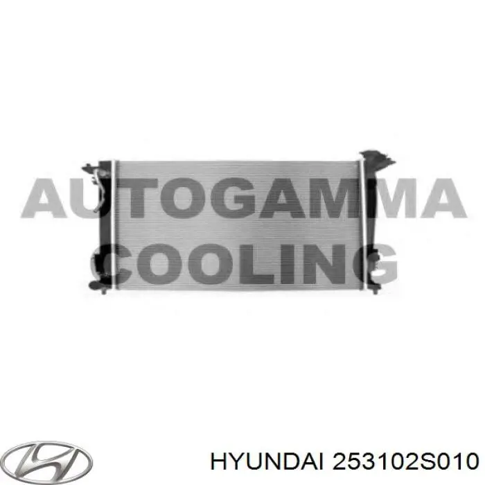 253102S010 Hyundai/Kia