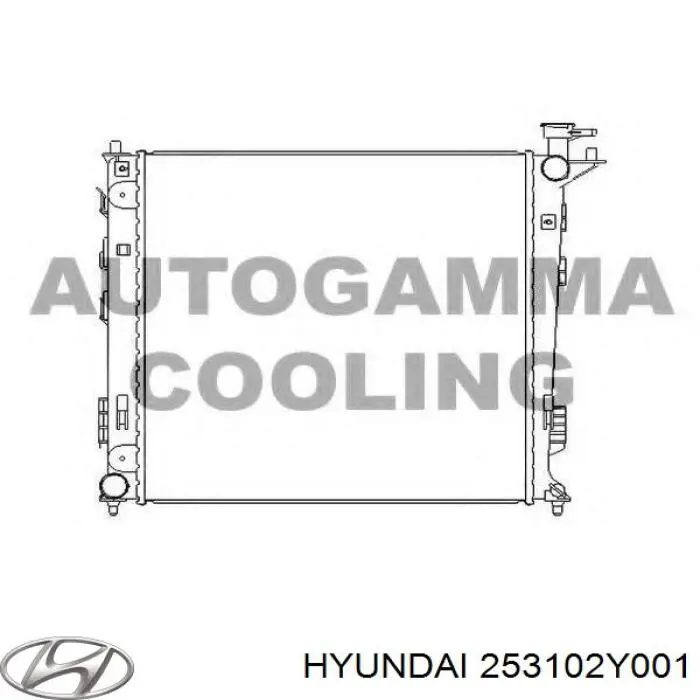 253102Y001 Hyundai/Kia radiador