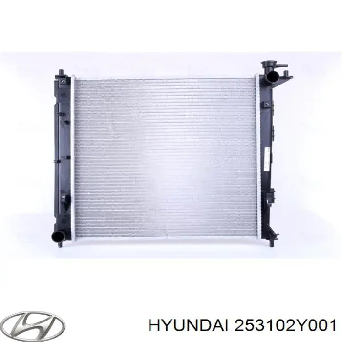 Água radiador Hyundai/Kia 253102Y001 precio, desde 93,14 EUR
