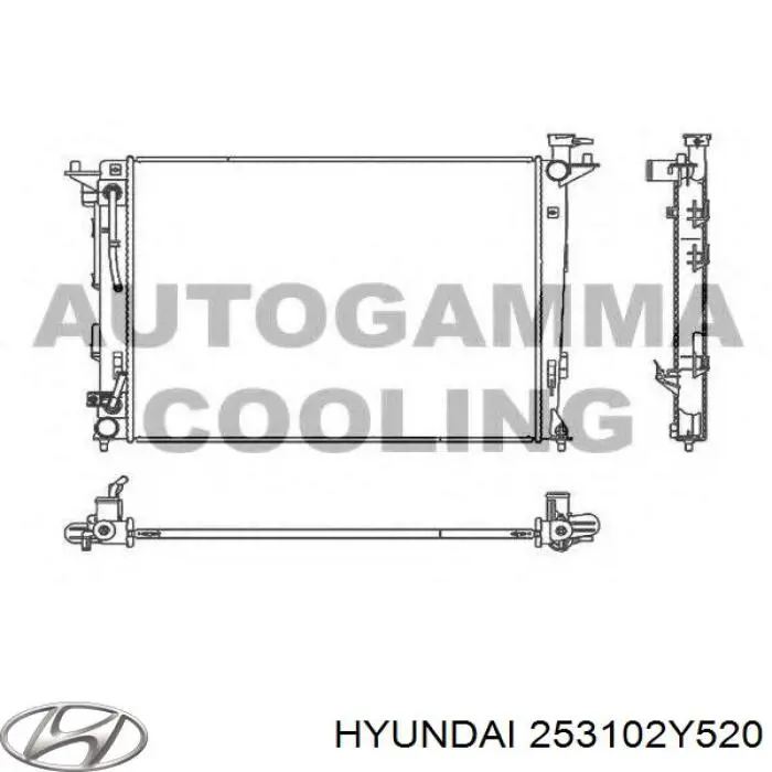 Radiador 253102Y520 Hyundai/Kia