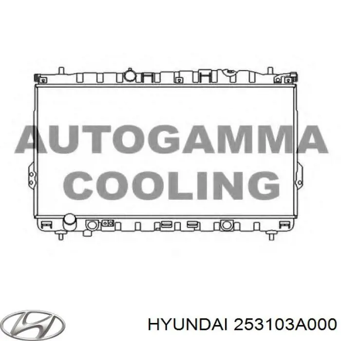 Água radiador Hyundai/Kia 253103A000 precio, desde 109,62 EUR