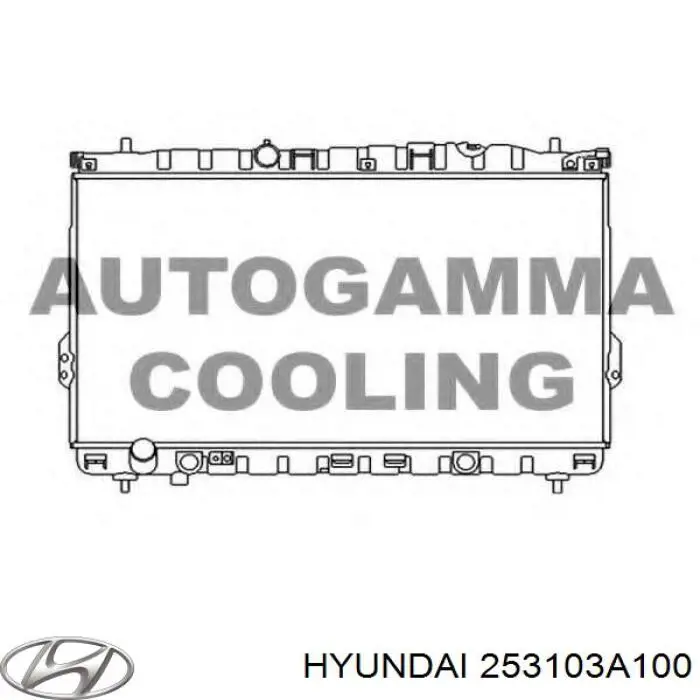 253103A100 Hyundai/Kia radiador refrigeración del motor