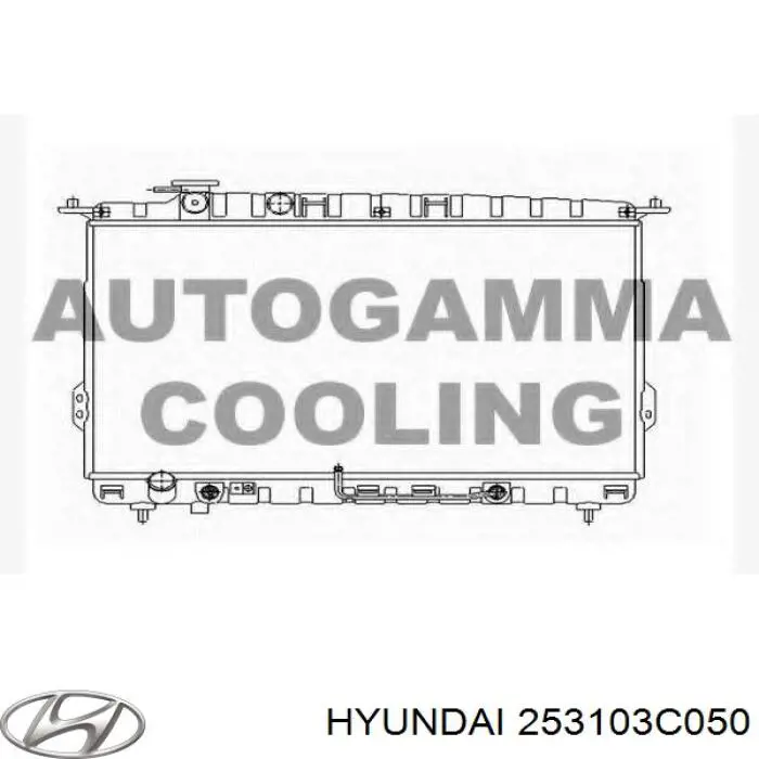 Água radiador Hyundai/Kia 253103C050 precio, desde 162,06 EUR