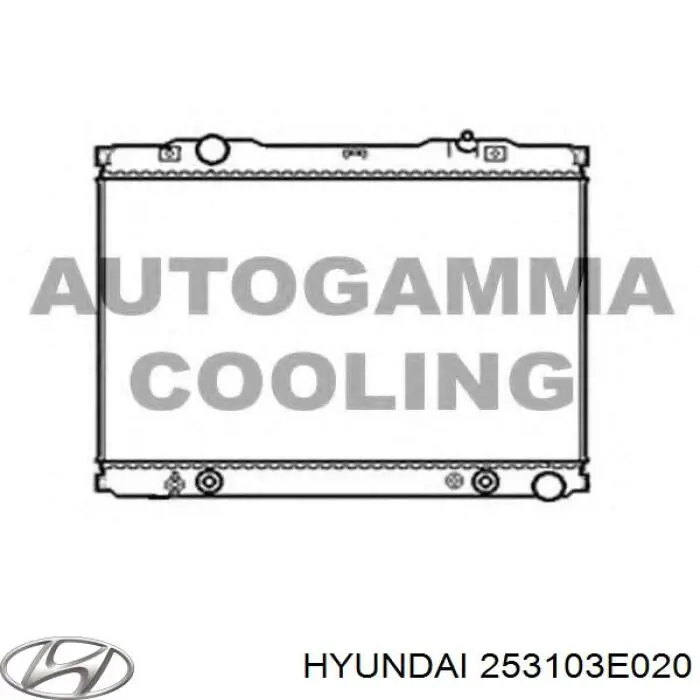 253103E020 Hyundai/Kia radiador