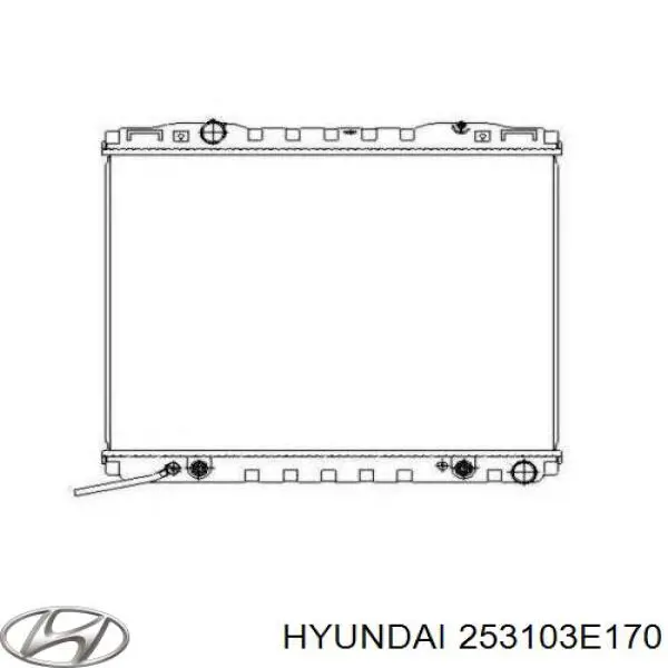 S253113E250 Hyundai/Kia radiador