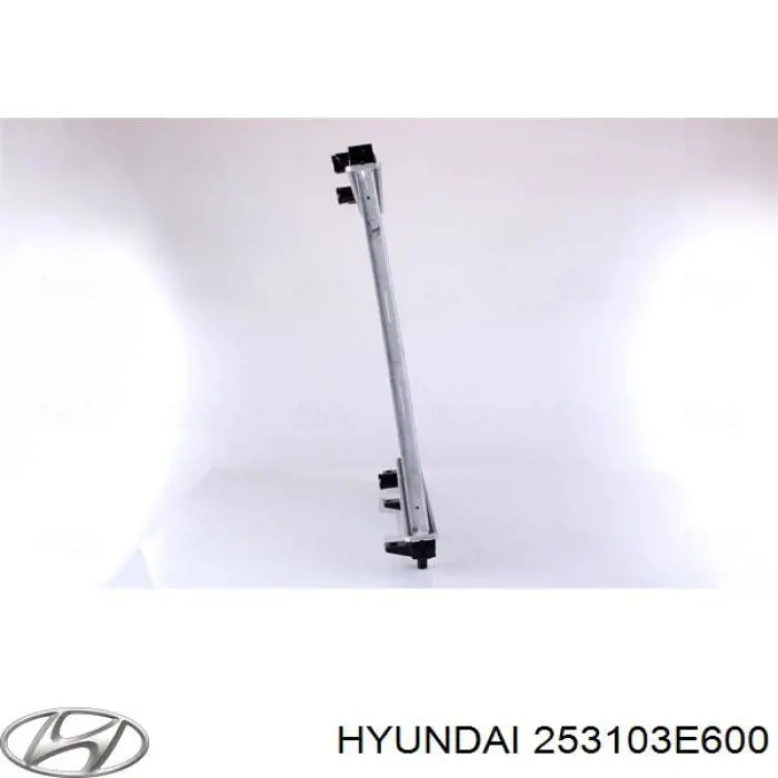 S253113E600 Hyundai/Kia Refrigeración del motor