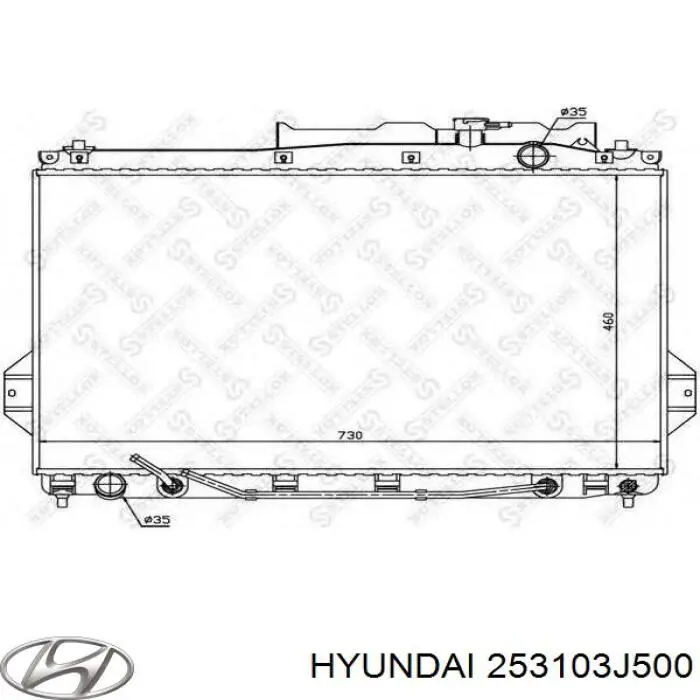 253103J500 Hyundai/Kia radiador