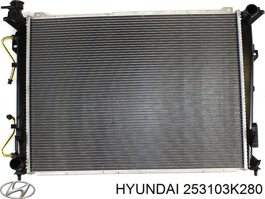 Água radiador Hyundai/Kia 253103K280 precio, desde 114,87 EUR