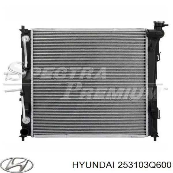 Água radiador Hyundai/Kia 253103Q600 precio, desde 109,25 EUR