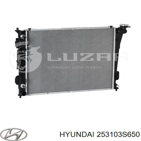 253103S650 Hyundai/Kia radiador