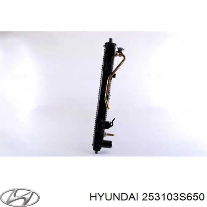 Água radiador Hyundai/Kia 253103S650 precio, desde 110,13 EUR