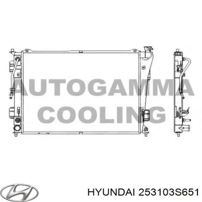 Água radiador Hyundai/Kia 253103S651 precio, desde 110,13 EUR