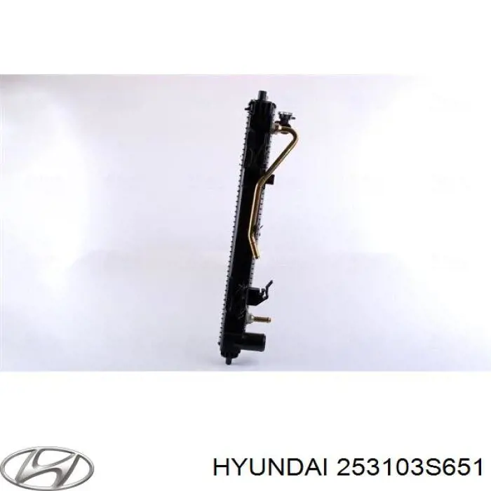 Radiador 253103S651 Hyundai/Kia