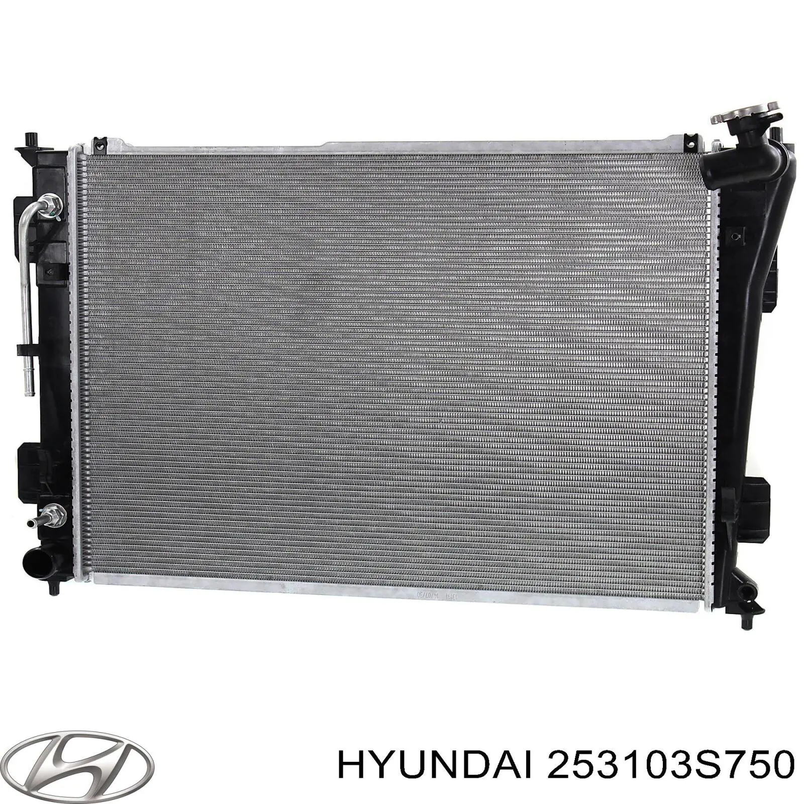 Radiador 4028081 Polcar