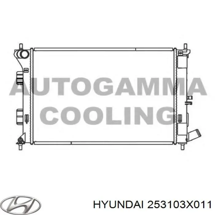 Água radiador Hyundai/Kia 253103X011 precio, desde 81,77 EUR