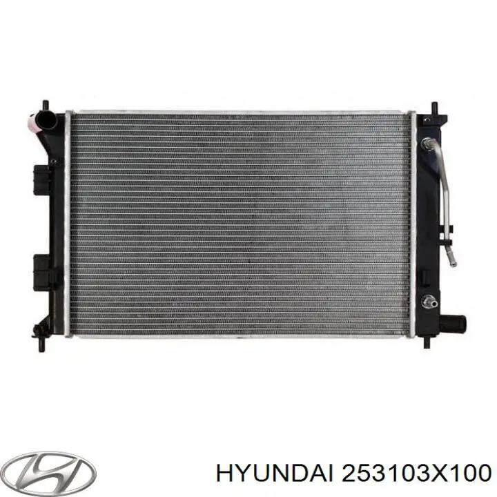 Água radiador Hyundai/Kia 253103X100 precio, desde 106,49 EUR