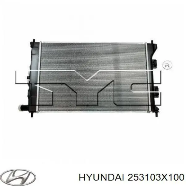 253103X100 Hyundai/Kia radiador
