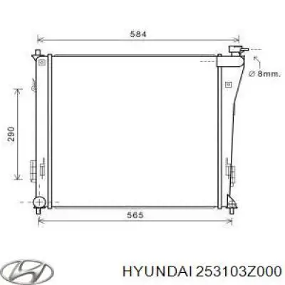 253103Z000 Hyundai/Kia