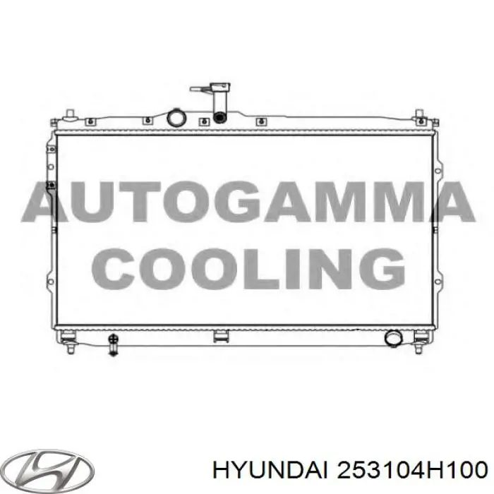 Água radiador Hyundai/Kia 253104H100 precio, desde 104,54 EUR