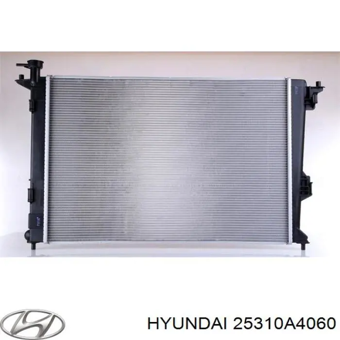 25310A4060 Hyundai/Kia