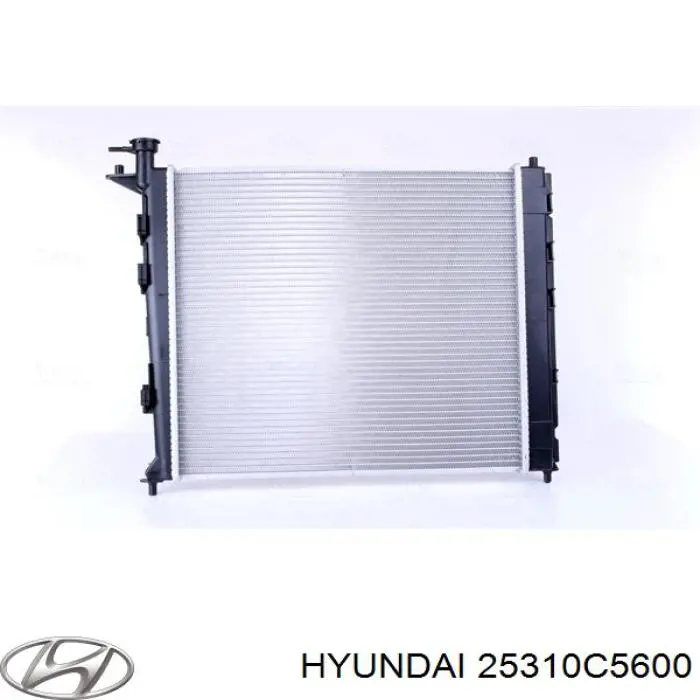 25310C5600 Hyundai/Kia