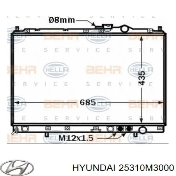 25310M3000 Hyundai/Kia radiador