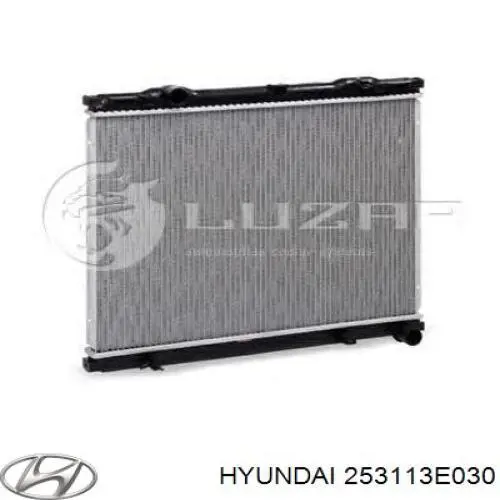 Água radiador Hyundai/Kia 253113E030 precio, desde 162,81 EUR