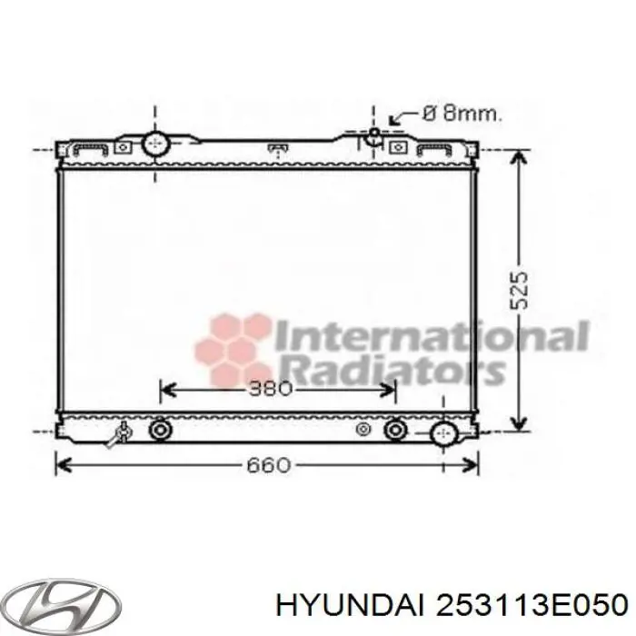 Radiador de água Hyundai/Kia S253113E050