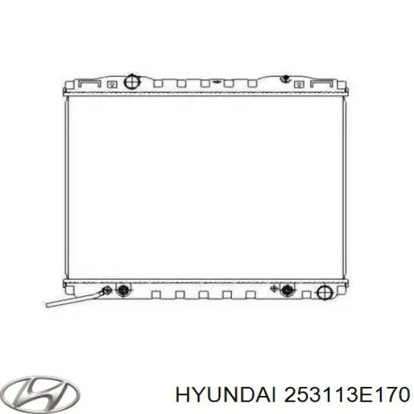 Comprar 253113E170 Hyundai/Kia Radiador de auto