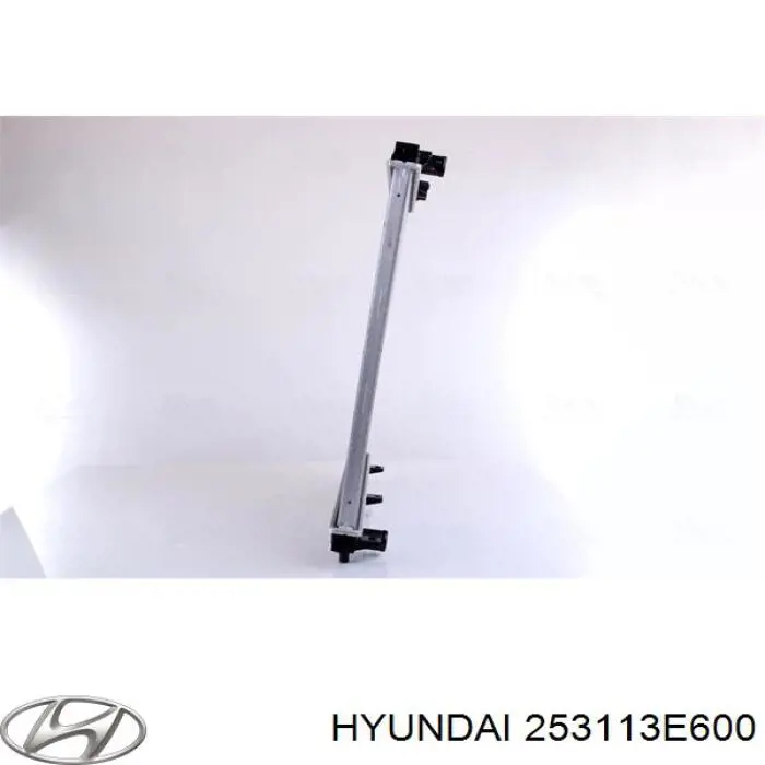 253113E600 Hyundai/Kia radiador