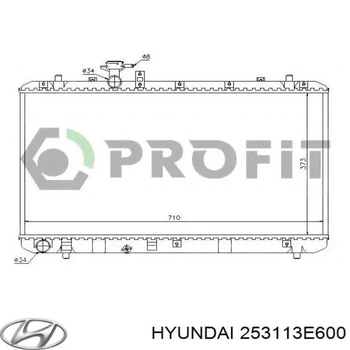 Água radiador Hyundai/Kia S253113E600 precio, desde 166,44 EUR