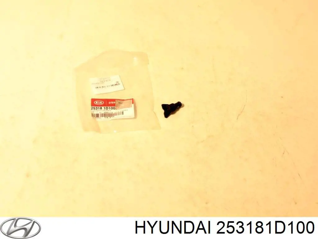 253181D100 Hyundai/Kia