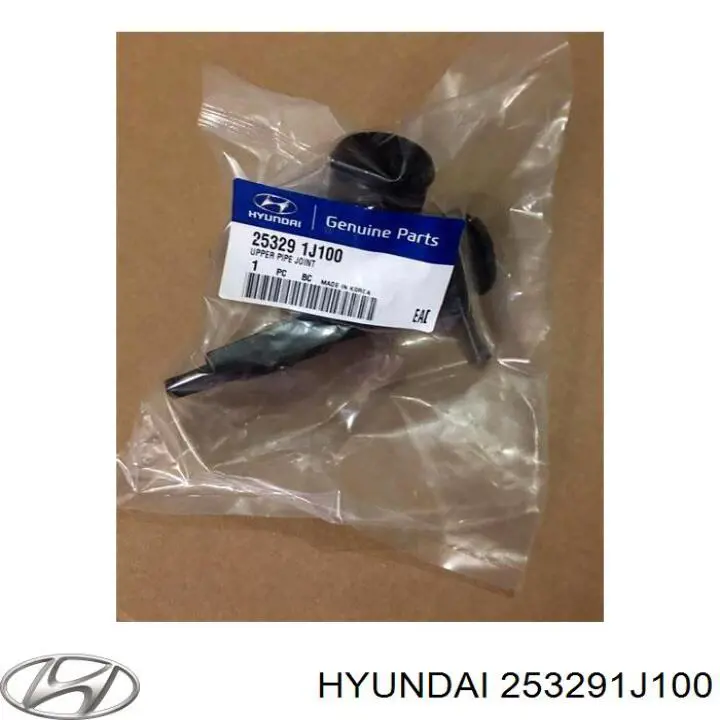 253291J100 Hyundai/Kia cuello de llenado de radiador