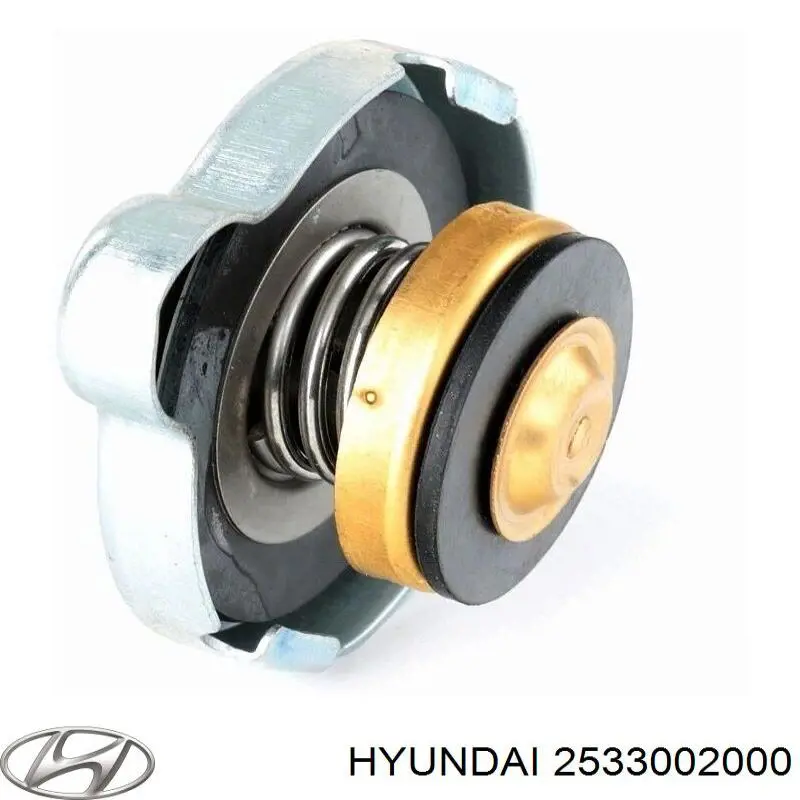 Tapa radiador 2533002000 Hyundai/Kia