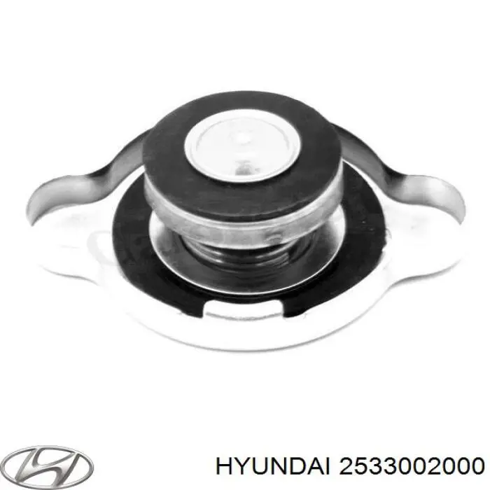Tapón del radiador Hyundai/Kia 2533002000