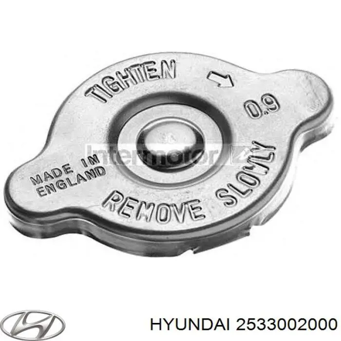 2533002000 Hyundai/Kia tapa de radiador