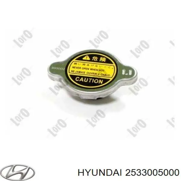 2533005000 Hyundai/Kia tapa de radiador