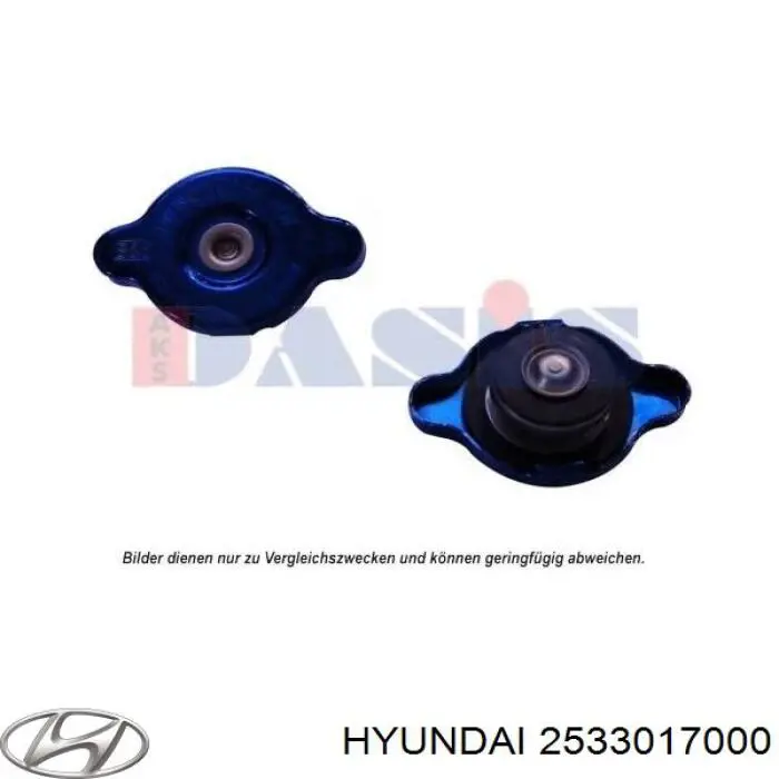 Comprar 2533017000 Hyundai/Kia Tapa radiador
