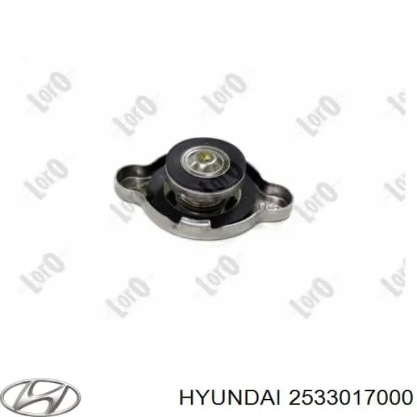 Tapa radiador 2533017000 Hyundai/Kia