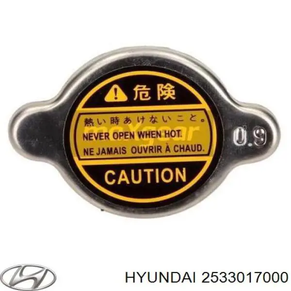 Tapa de radiador (tapón) Hyundai/Kia 2533017000 precio, desde 4,94 EUR