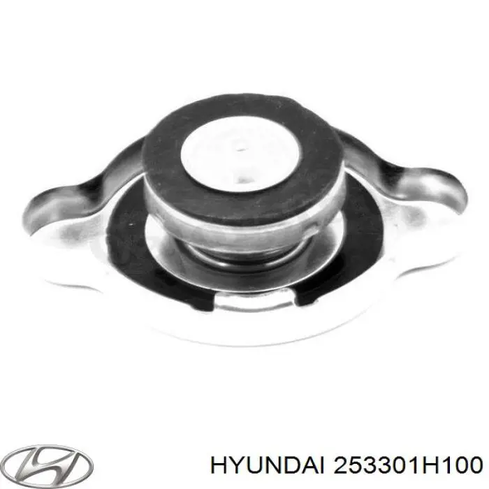 253301H100 Hyundai/Kia tapa de radiador