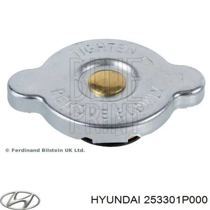 253301P000 Hyundai/Kia tapa radiador