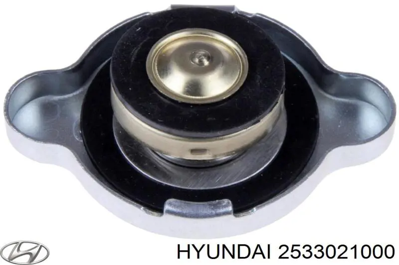 2533021000 Hyundai/Kia