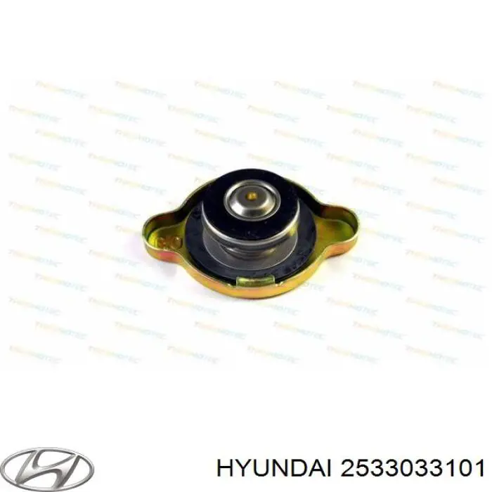 Tapa radiador 2533033101 Hyundai/Kia