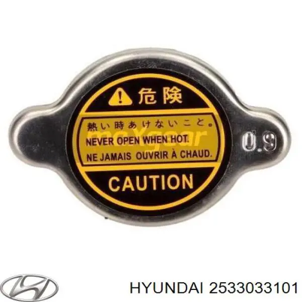 Tapa de radiador (tapón) Hyundai/Kia 2533033101 precio, desde 4,45 EUR