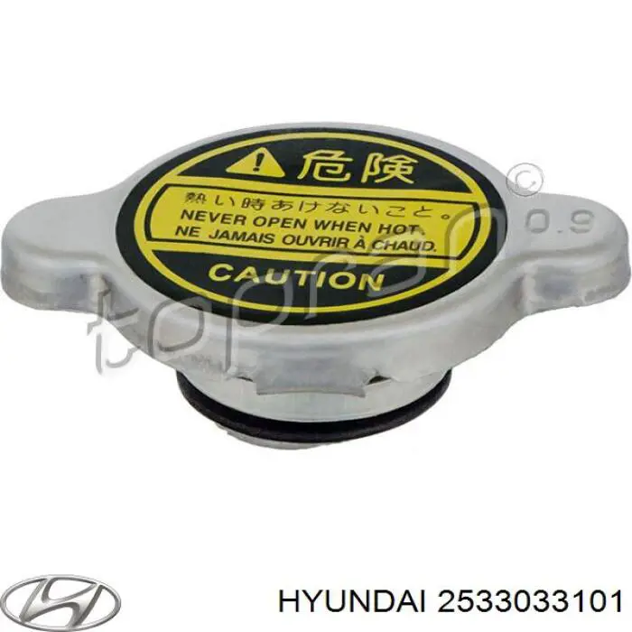 Comprar 2533033101 Hyundai/Kia Tapa radiador